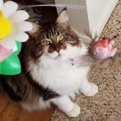 Avelena | 🔥Interaktives Vogelspiel für Katzen