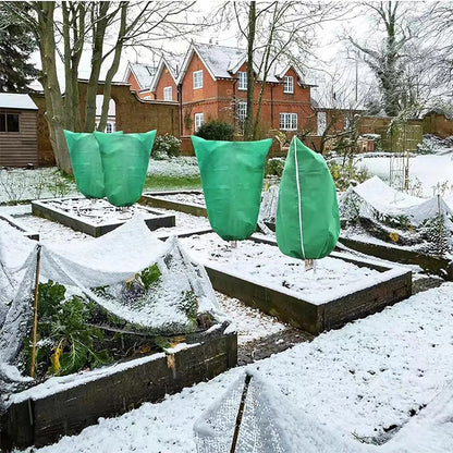 Avelena | Pflanzenschutz Frostschutz