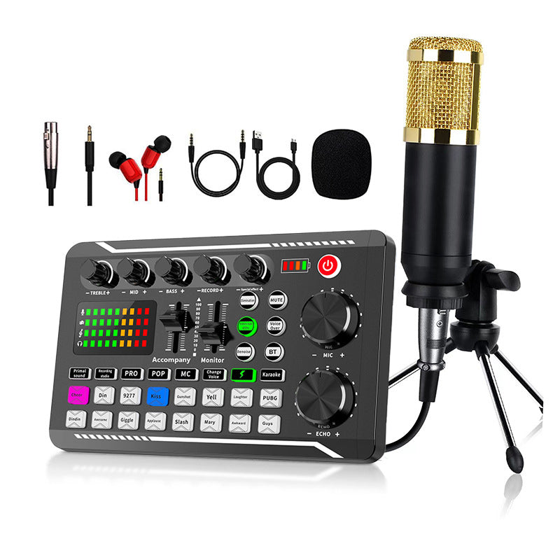 Avelena | Weihnachtskampagne 50% Rabatt Audio-Set für Direktübertragung mit Mikrofon