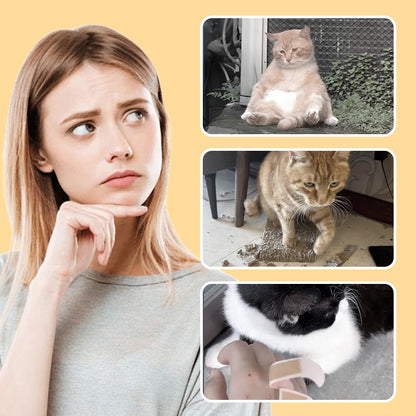 Avelena | Mäuse-Spielzeug für Katzen und Hunde