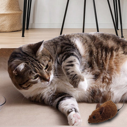 Avelena | Mäuse-Spielzeug für Katzen und Hunde