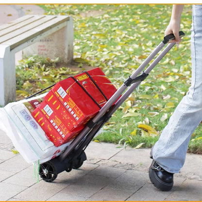 Avelena | CarryMax Fold – Stark beim Tragen, klein beim Verstauen