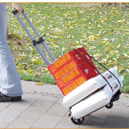 Avelena | CarryMax Fold – Stark beim Tragen, klein beim Verstauen