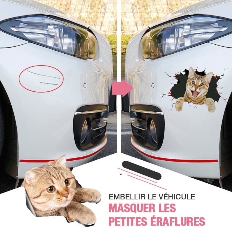 Avelena | 3D-Aufkleber mit Katzen und Hunden, die entfernt werden können