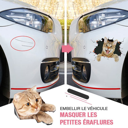 Avelena | 3D-Aufkleber mit Katzen und Hunden, die entfernt werden können