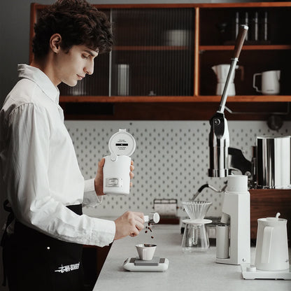 Avelena | Edelstahl Kaffeebohnendose Luftdicht versiegelt mit Löffel