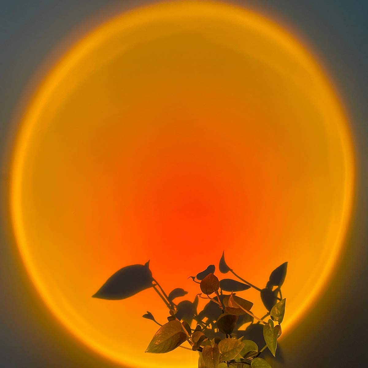 Avelena | Sunsetlampe mit App und Fernbedienung
