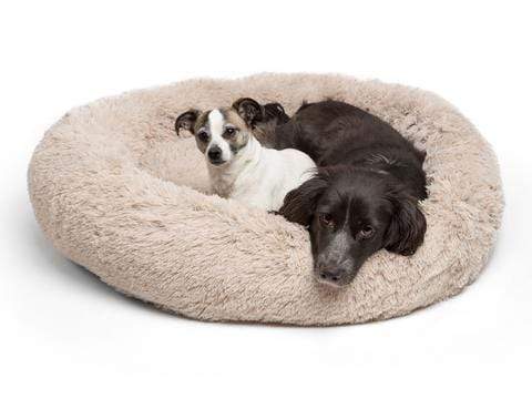 Avelena | Tiernest für Hunde und Katzen Angenehmer und Sicherer Raum