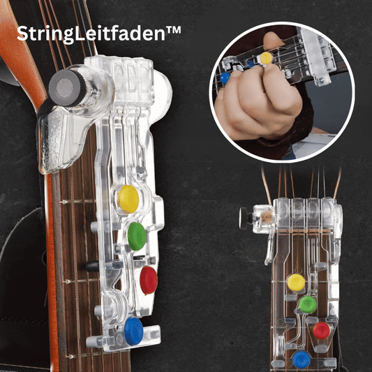 Avelena | StringLeitfaden Master Guitar Basics