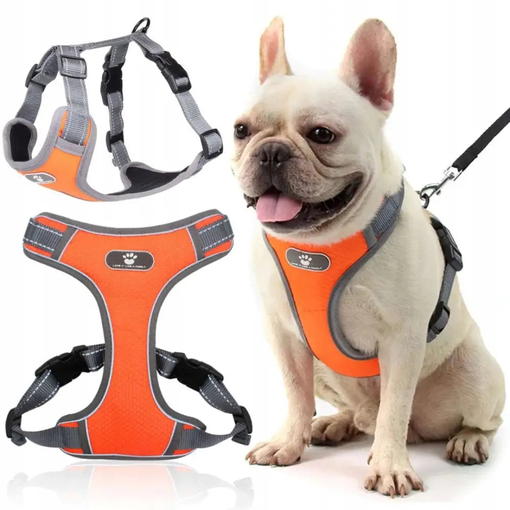Avelena | Trainings und Wandergeschirr für Hund Astro Orange