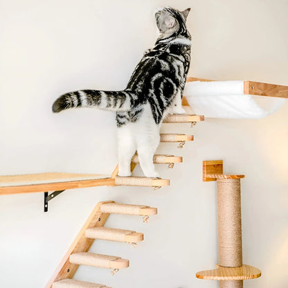 Avelena | Wandkletterbrett für Katzen mit Krallenpad Climbpaws