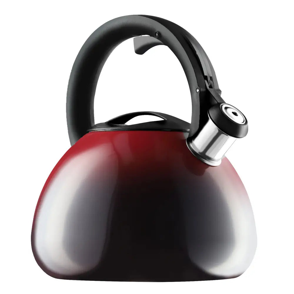 Avelena | Wasserkocher mit Pfeife für Gas und Induktion aus Edelstahl 2,6L