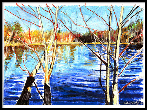 Avelena | Birke Am See