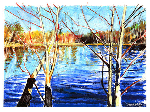 Avelena | Birke Am See