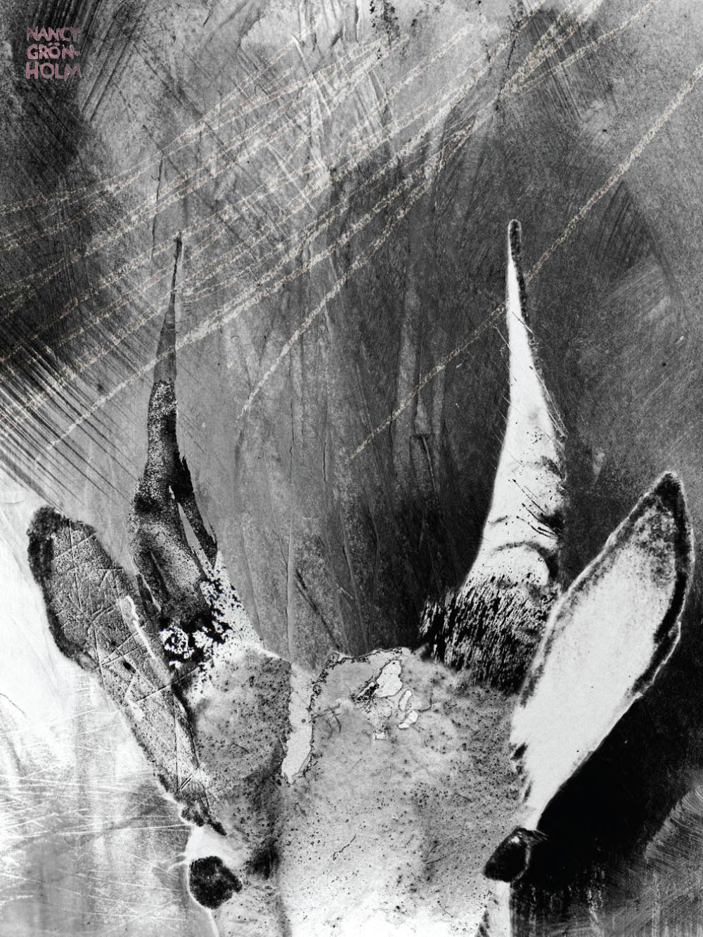 Avelena | Wände Haben Ohren, Gazelle