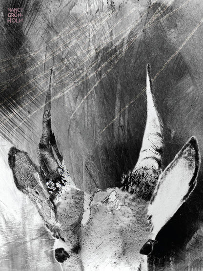 Avelena | Wände Haben Ohren, Gazelle