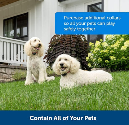 Avelena | Drahtloses Hundezäunhalsband-System | Wasserdicht, wiederaufladbar & ideal für das Training zu Hause und Outdoor-Abenteuer