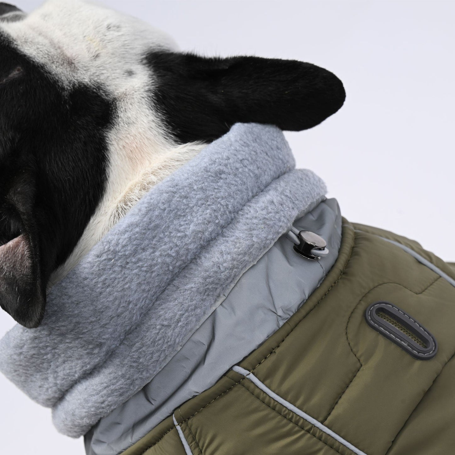 Avelena | Chillelite Frenchie Luxus Winterjacke