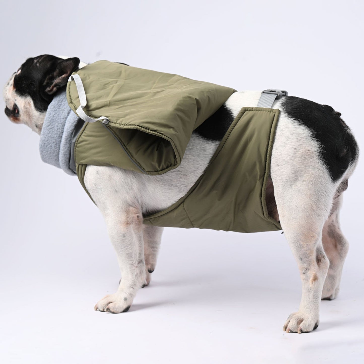 Avelena | Chillelite Frenchie Luxus Winterjacke