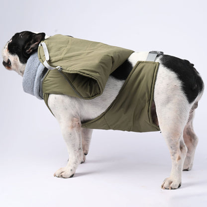 Avelena | Chillelite Frenchie Luxus Winterjacke