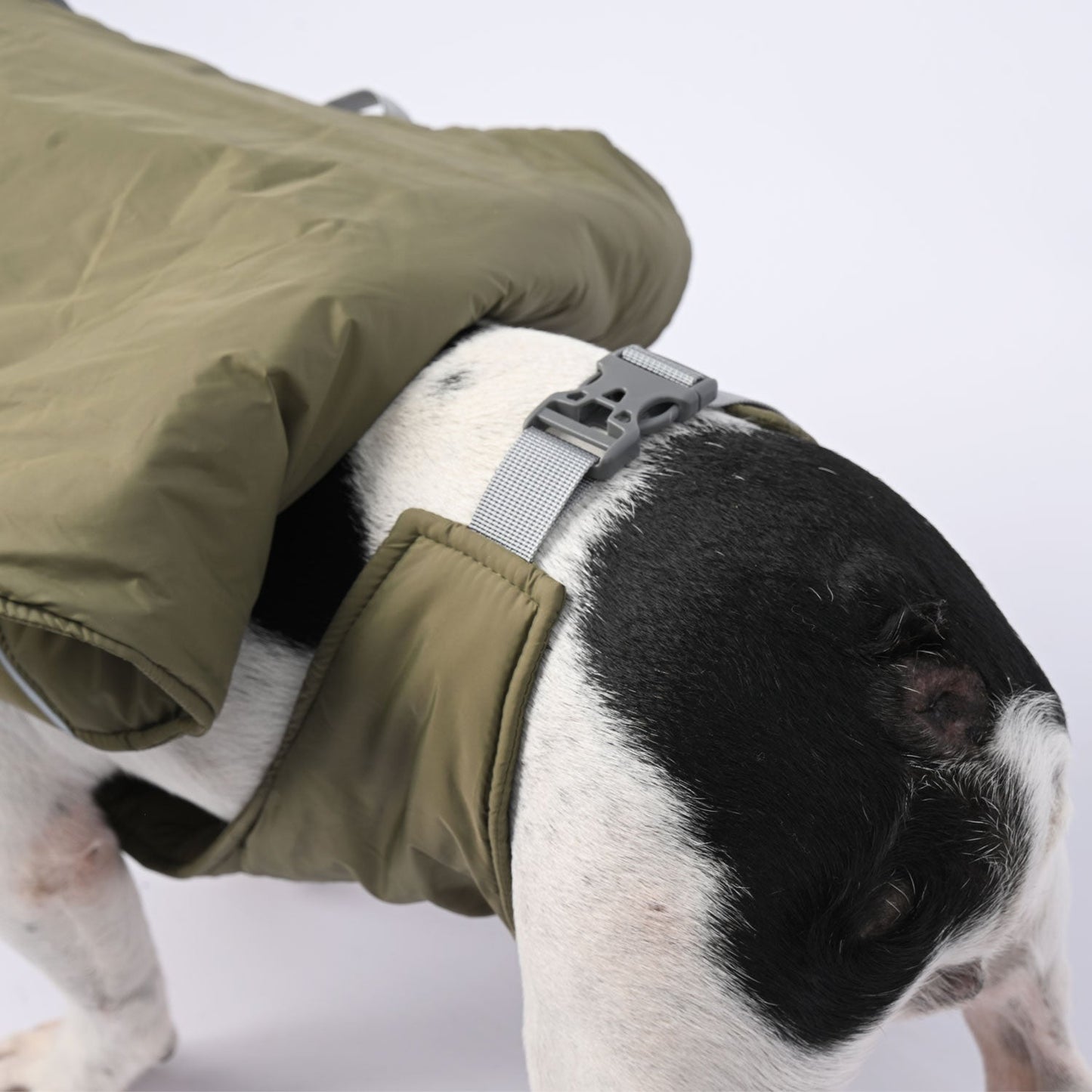 Avelena | Chillelite Frenchie Luxus Winterjacke