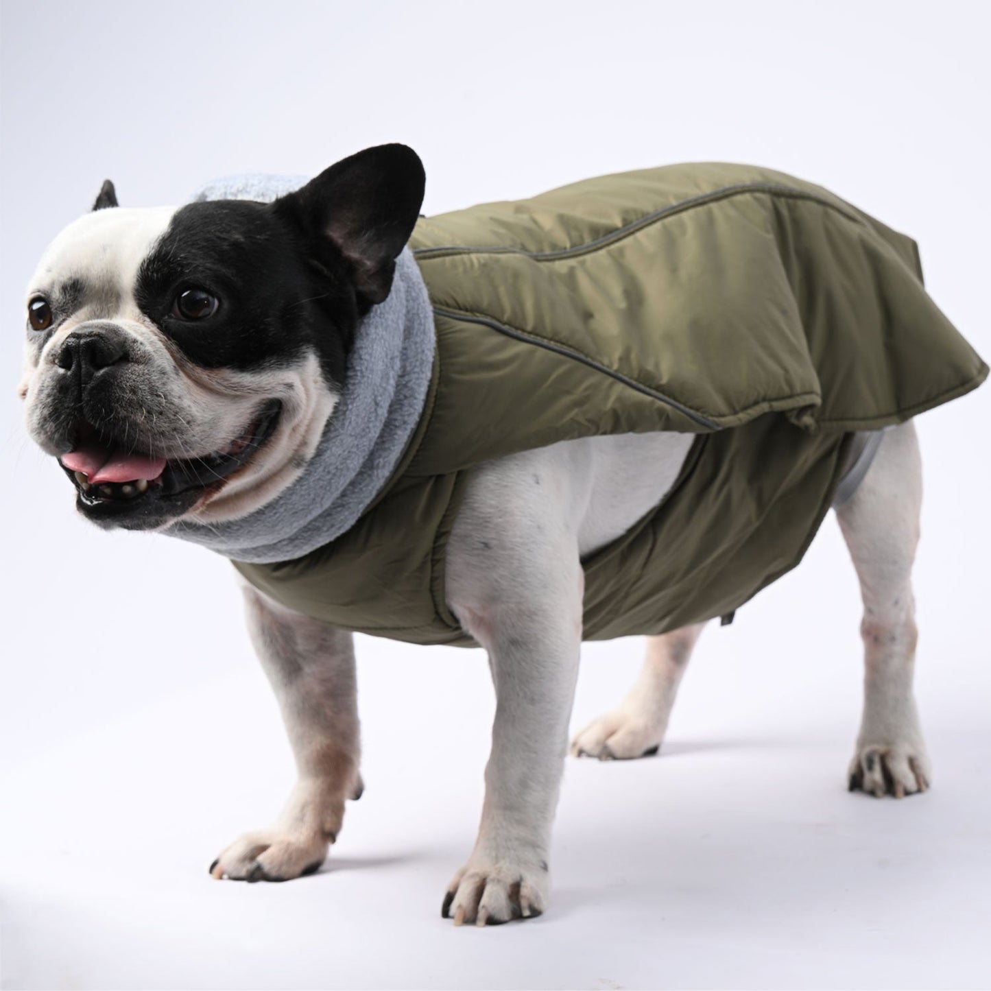 Avelena | Chillelite Frenchie Luxus Winterjacke