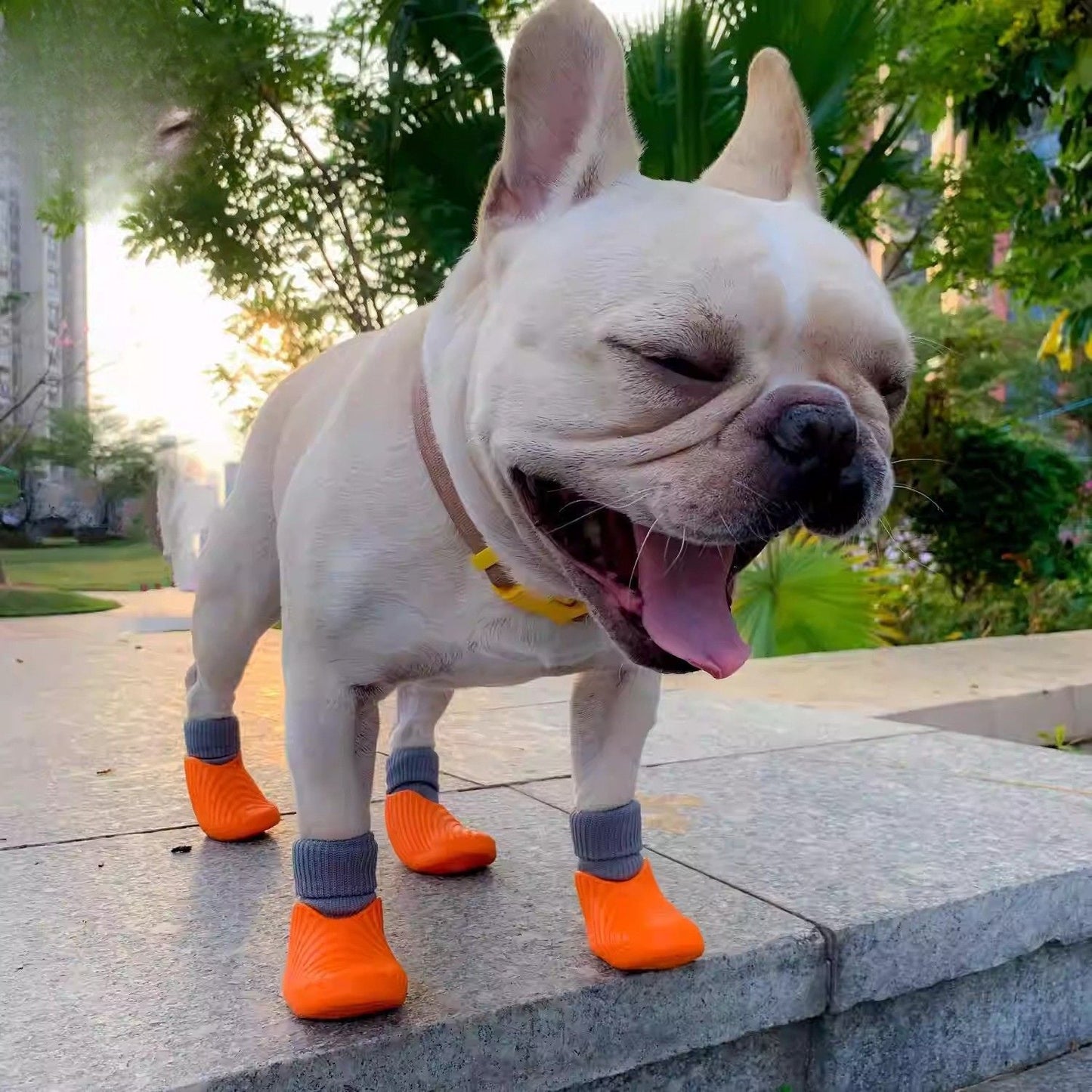 Avelena | Flexipaws Frenchie Wasserdichte Regenstiefel – Hochelastisches, Rutschfestes Und Langlebiges Design