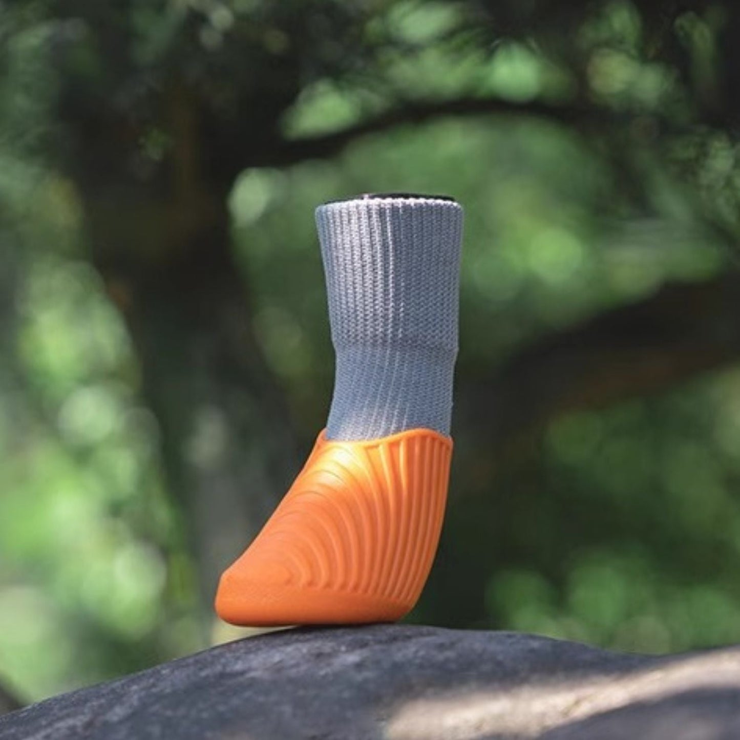 Avelena | Flexipaws Frenchie Wasserdichte Regenstiefel – Hochelastisches, Rutschfestes Und Langlebiges Design