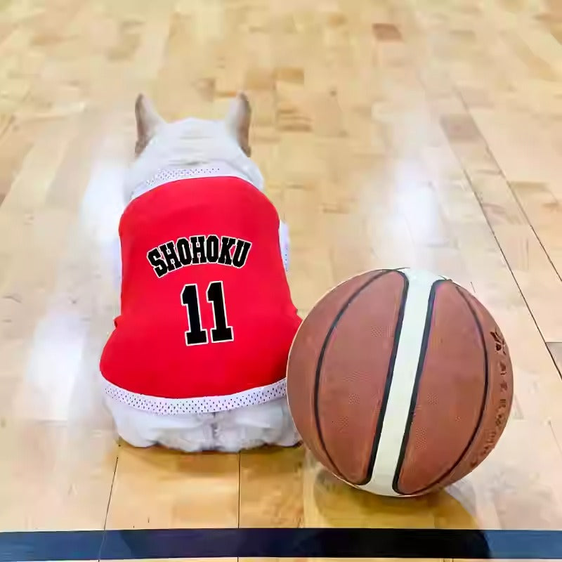 Avelena | Frenchie Sporttrikot Leichtes Atmungsaktives Mesh-Weste Für Hunde