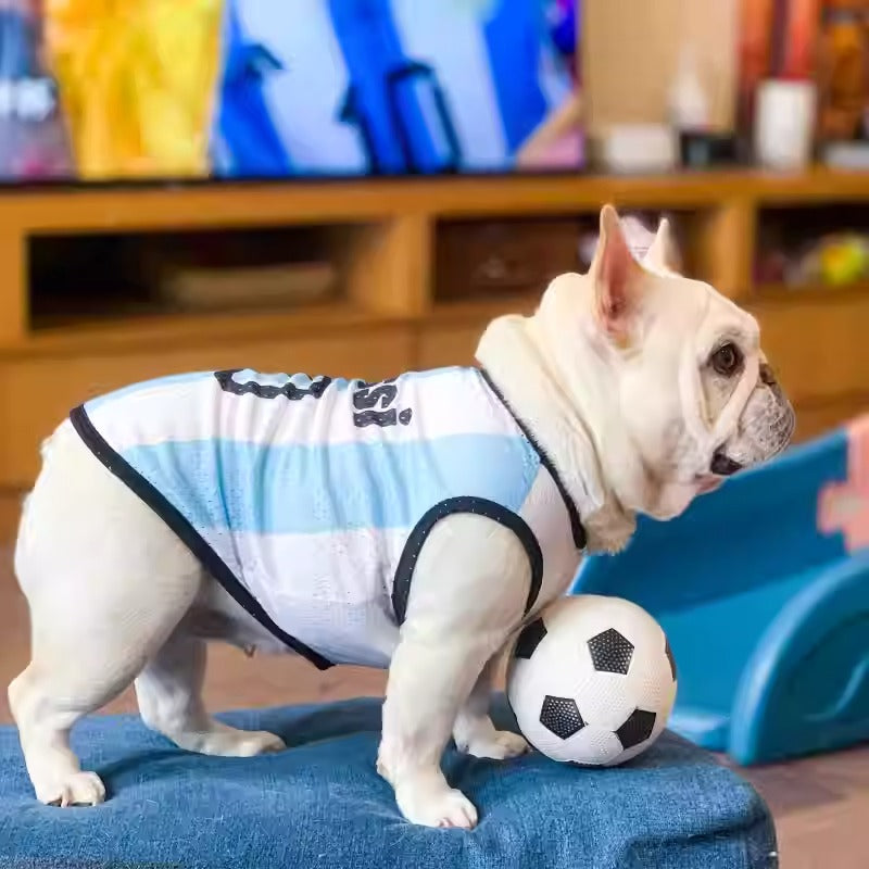 Avelena | Frenchie Sporttrikot Leichtes Atmungsaktives Mesh-Weste Für Hunde