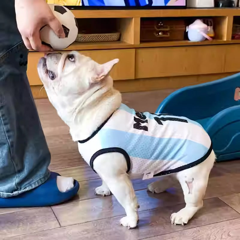 Avelena | Frenchie Sporttrikot Leichtes Atmungsaktives Mesh-Weste Für Hunde
