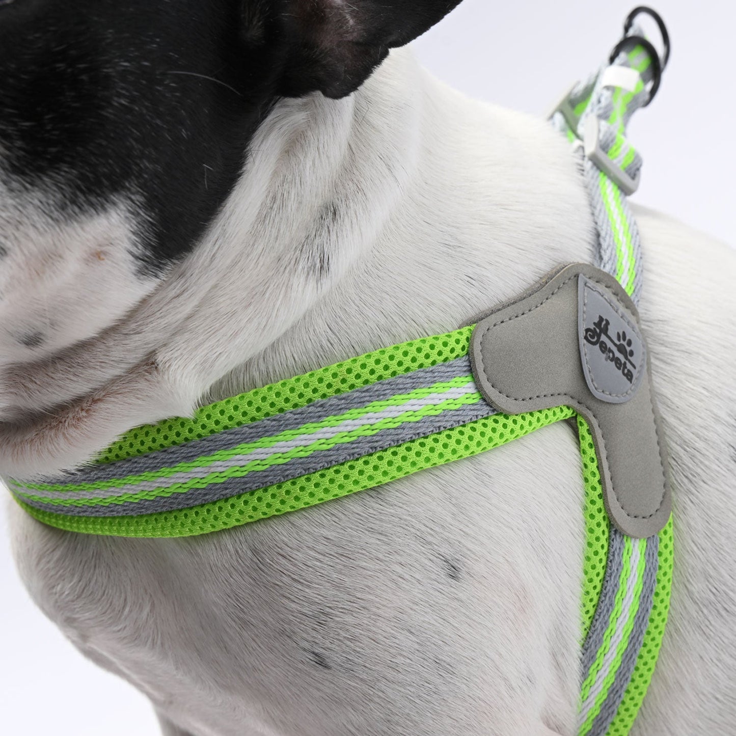 Avelena | Pawgrip No-Pull Frenchie Geschirr Mit Leine