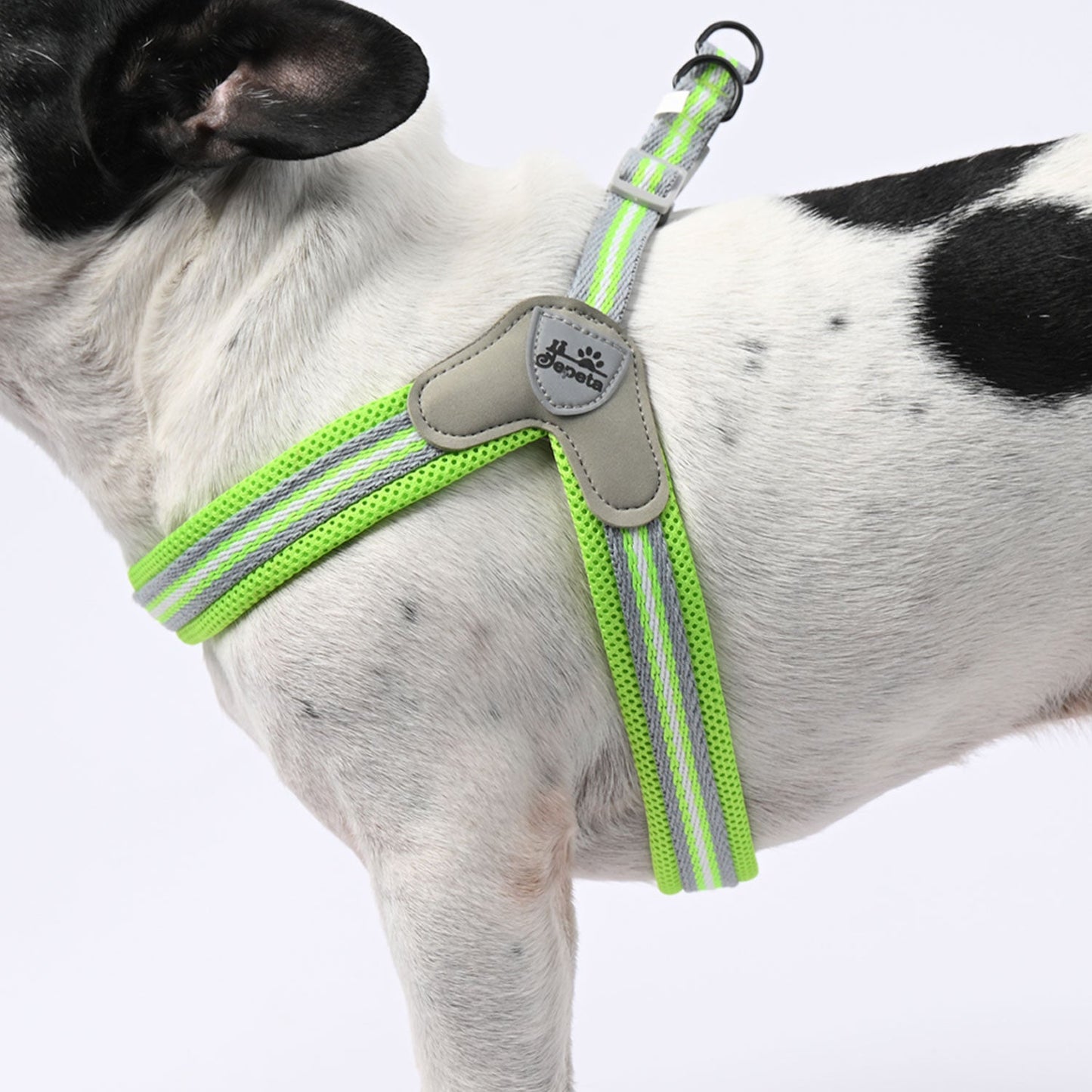 Avelena | Pawgrip No-Pull Frenchie Geschirr Mit Leine