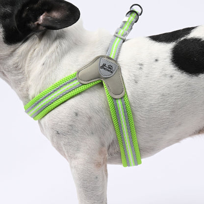 Avelena | Pawgrip No-Pull Frenchie Geschirr Mit Leine