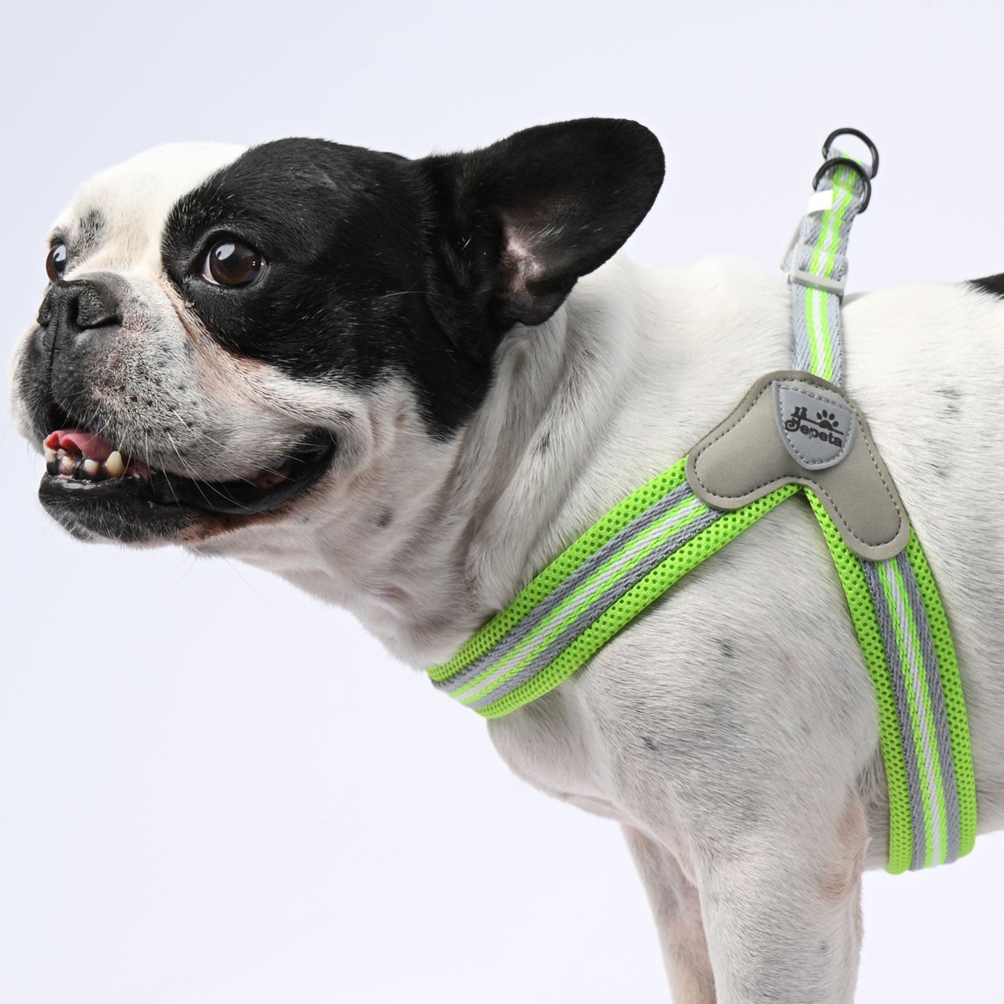 Avelena | Pawgrip No-Pull Frenchie Geschirr Mit Leine