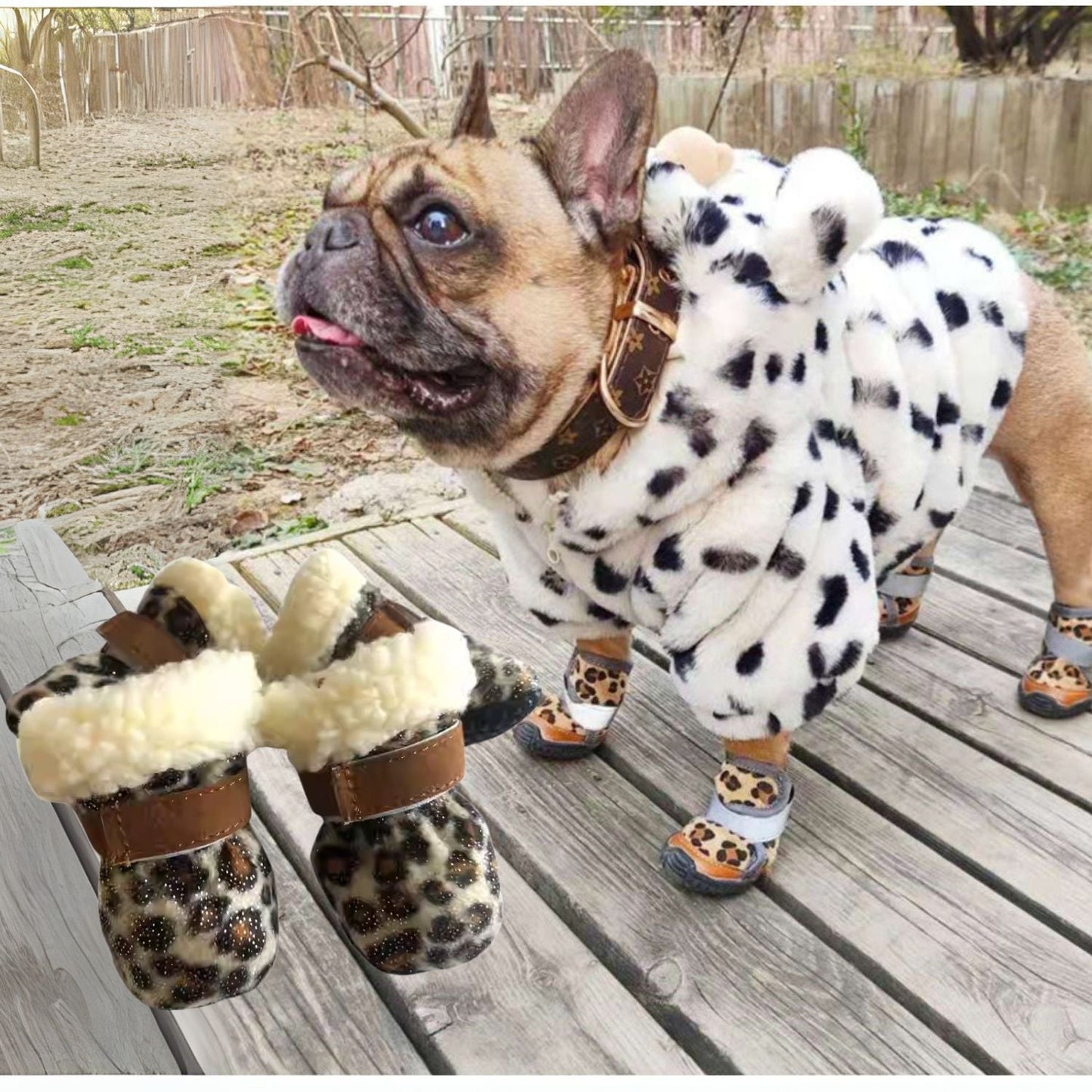 Avelena | Petstride Haltbare Frenchie Schuhe - Wasserdicht Und Atmungsaktive Haustier Stiefel