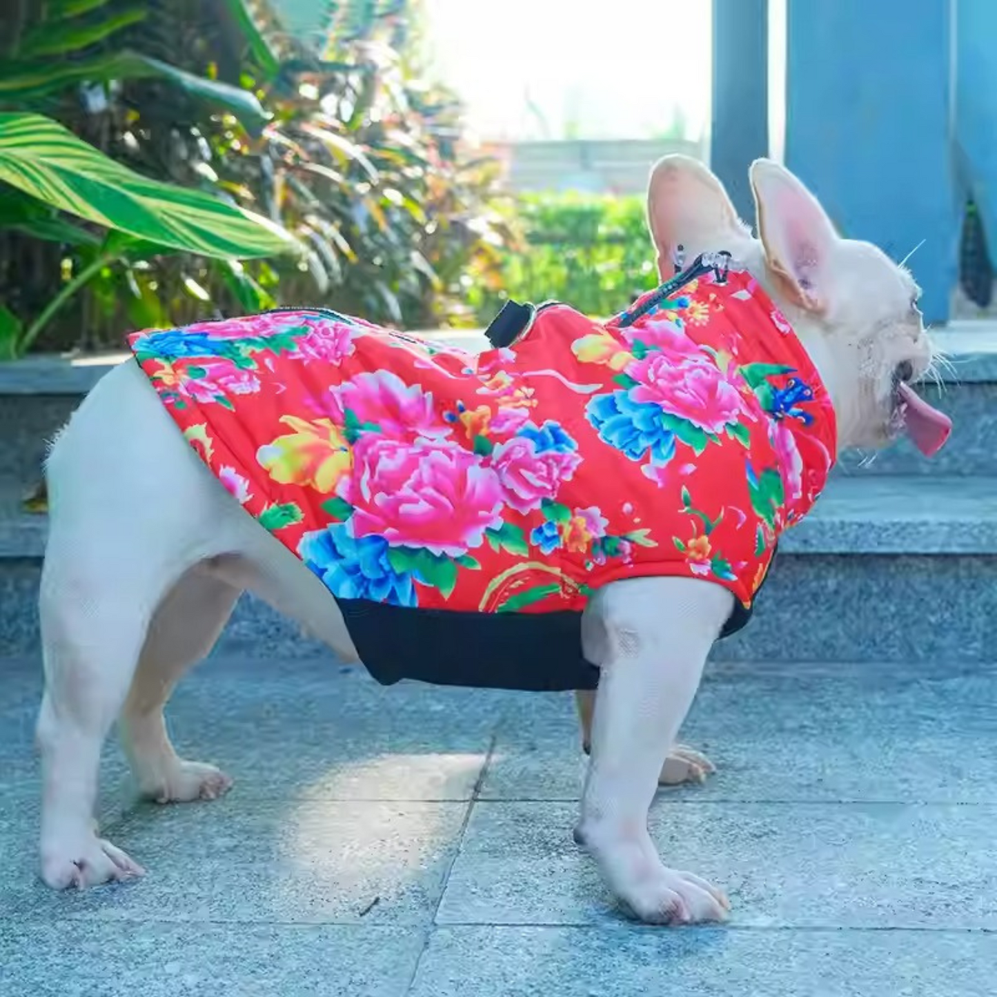 Avelena | Puptrend Premium Französische Jacke