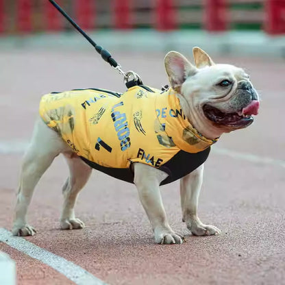 Avelena | Puptrend Premium Französische Jacke