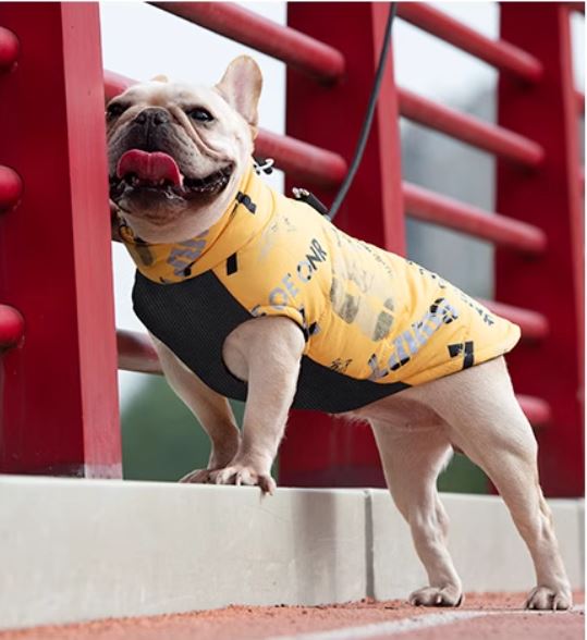 Avelena | Puptrend Premium Französische Jacke