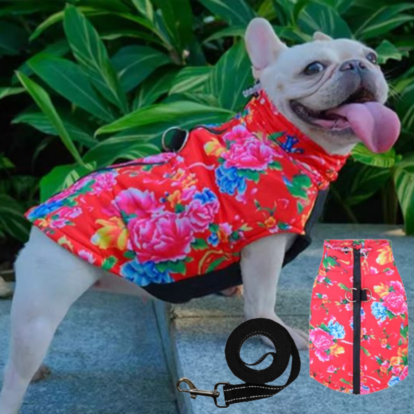 Avelena | Puptrend Premium Französische Jacke