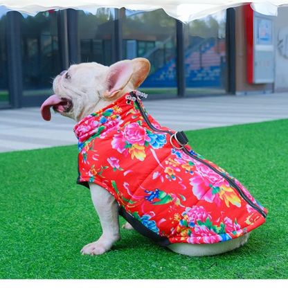 Avelena | Puptrend Premium Französische Jacke