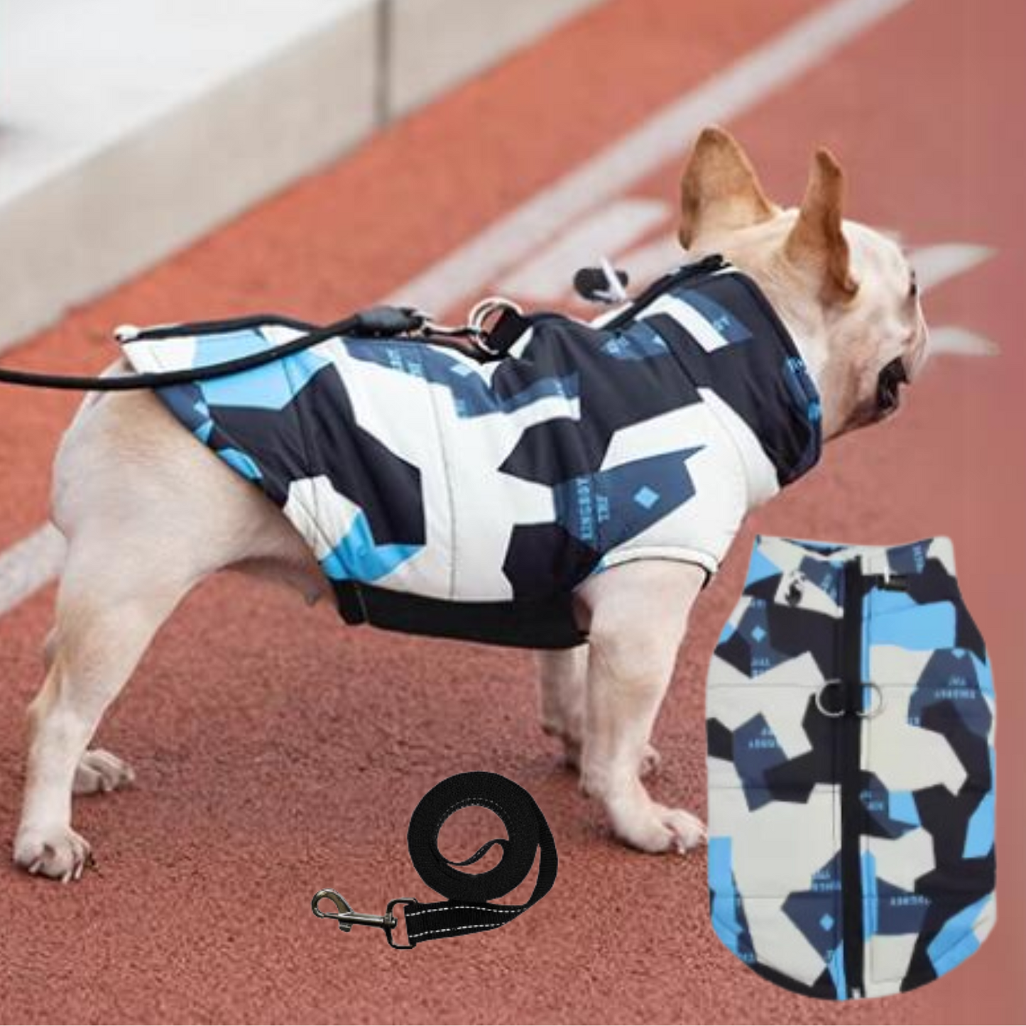 Avelena | Puptrend Premium Französische Jacke