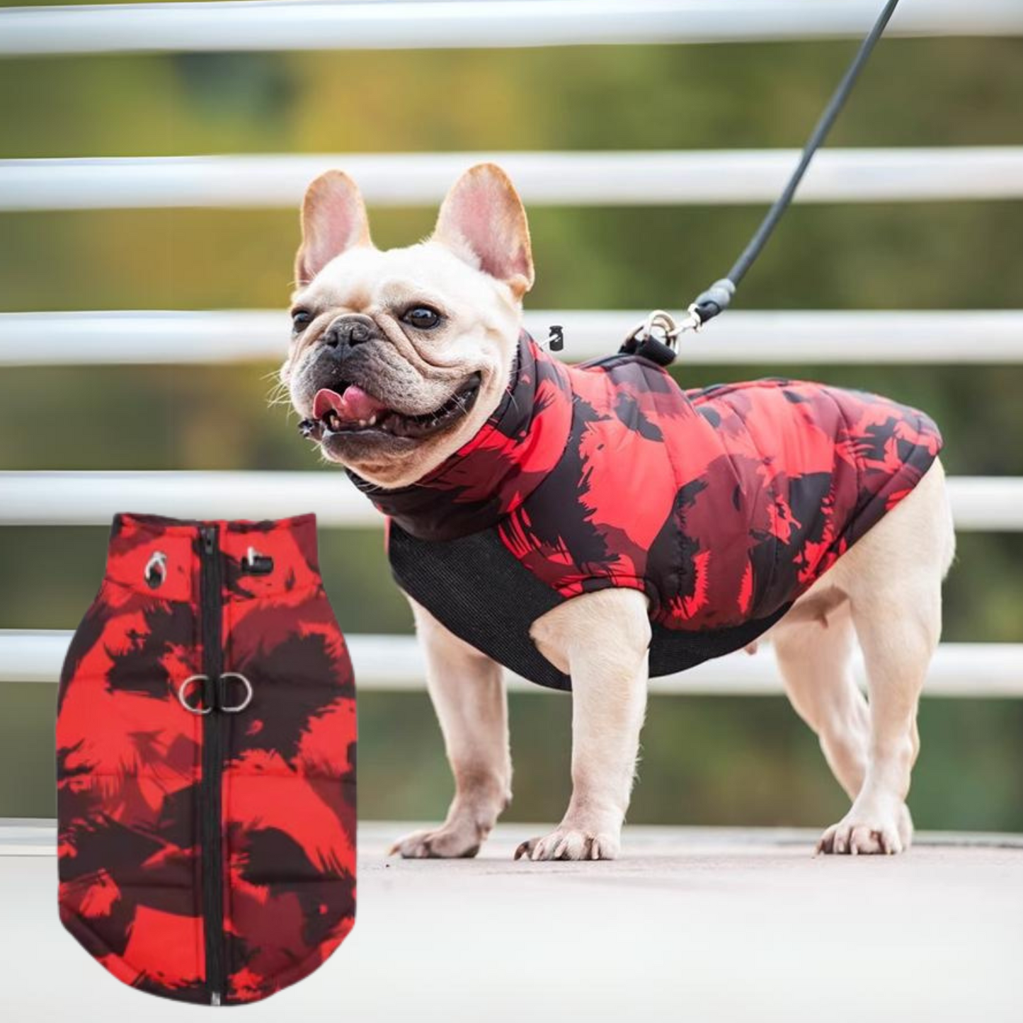 Avelena | Puptrend Premium Französische Jacke