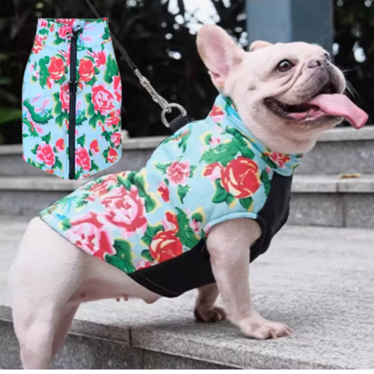 Avelena | Puptrend Premium Französische Jacke