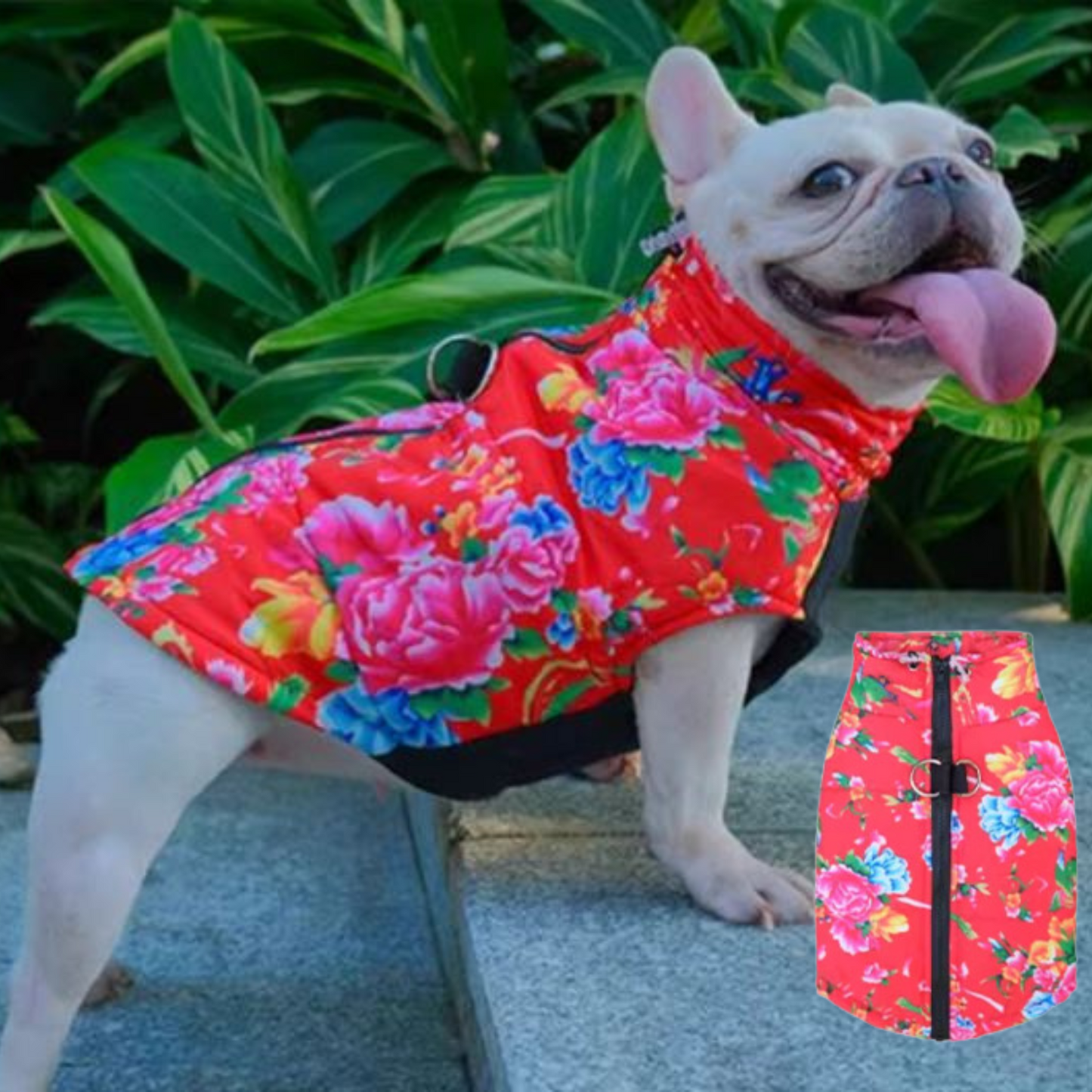 Avelena | Puptrend Premium Französische Jacke