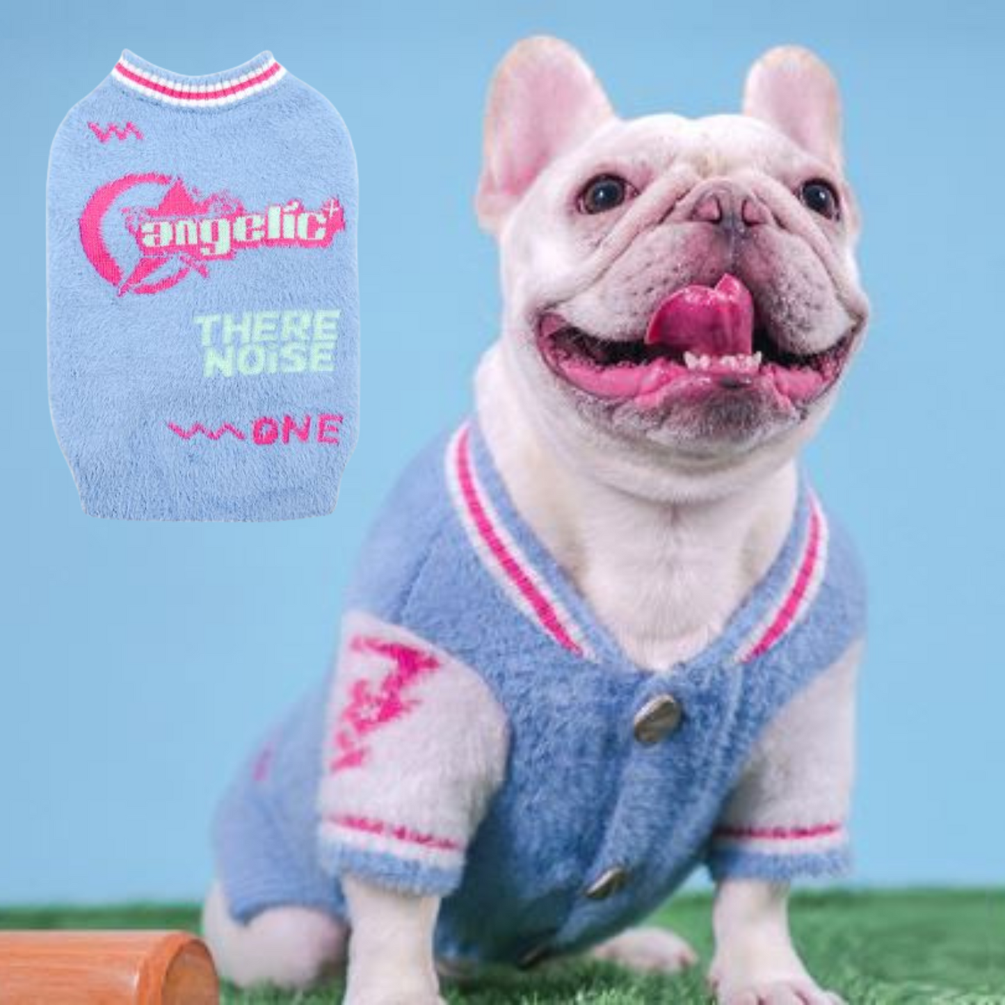 Avelena | Sportlicher Frenchie Winterpullover Blau Und Pink Plüsch Varsity Stil Für Kleine Hunde