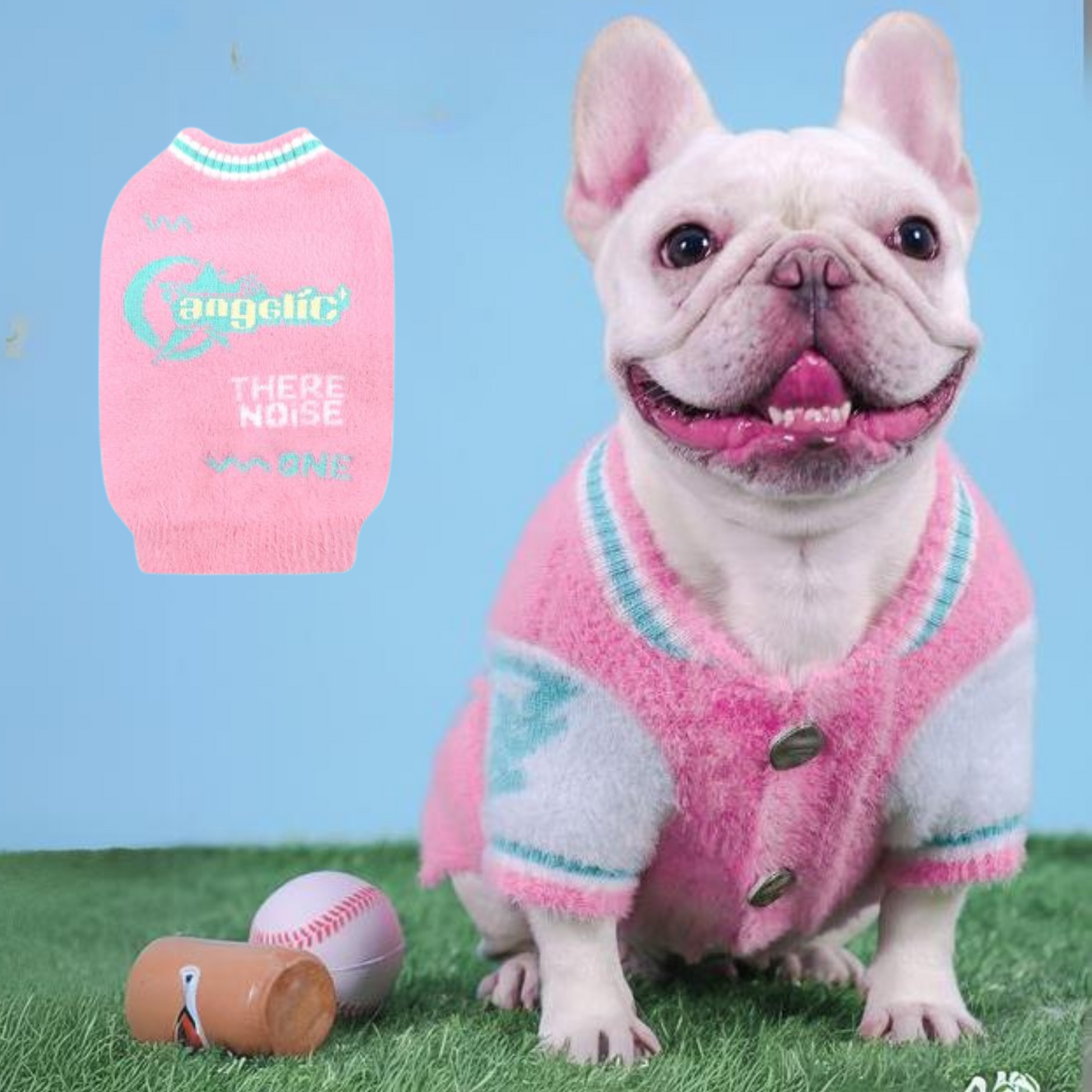 Avelena | Sportlicher Frenchie Winterpullover Blau Und Pink Plüsch Varsity Stil Für Kleine Hunde