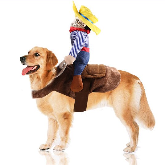 Avelena | Haustier Cowboy Reiter Hund und Katzenkostüm